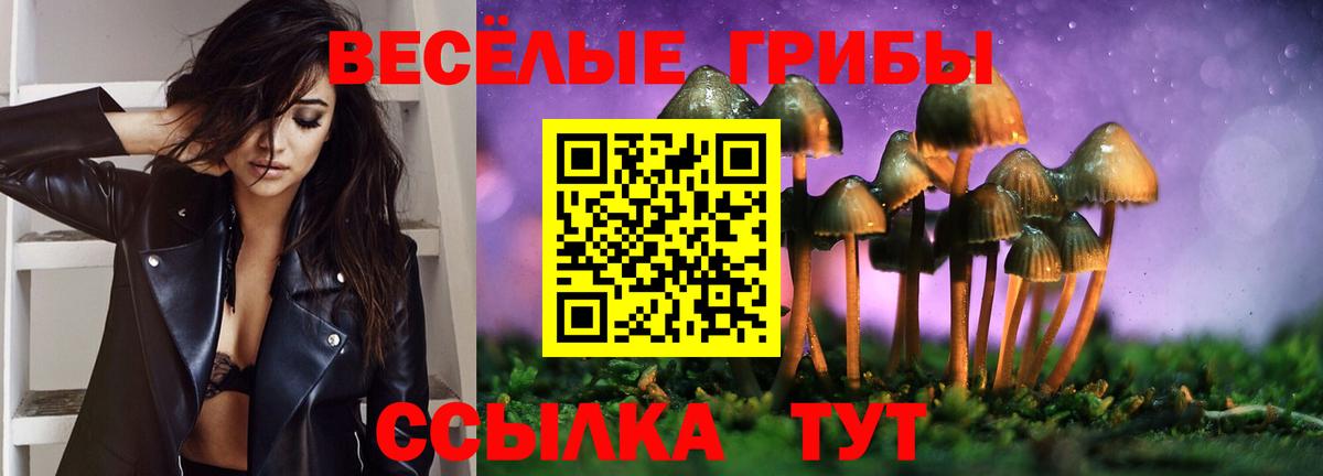 Моршанск  Галлюциногенные грибы Psilocybe  Вход с VPN 