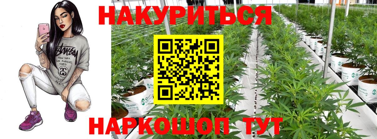 Моршанск  Бошки Шишки сатива  Бошки марихуана Amnesia  Бошки Шишки VHQ  Вход с VPN 